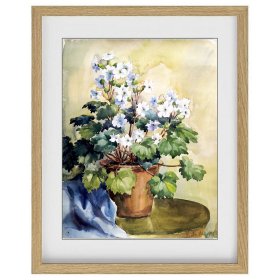 萧淑芳《天竺葵之一》水彩 37×29.5cm 1956年-----天竺葵象征着生活中的美好和幸福，常常被用来表达对远方亲人或爱人的深深怀念，同时也代表着勇气、希望和热情。因此也是艺术家们热衷描绘和表现的对象。