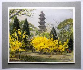 特价：宋步云《绚烂春光》 水粉 26×31cm 1963年