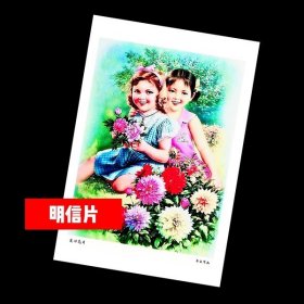 友谊花开【老年画明信片】满10张包邮