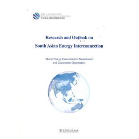 Research and Outlook on South Asian Energy Interconnection