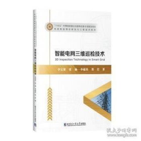 智能电网三维巡检技术