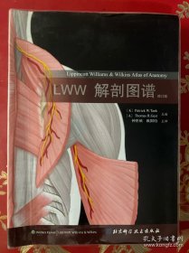 LWW解剖图谱