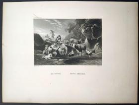 1871年 钢版画 雕刻凹版《饮牛，CATTLE DRINKING》