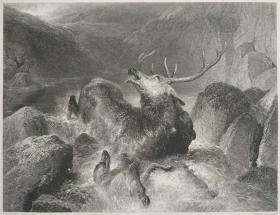 【弗农系列版画 附资料页】1851年 钢版画 雕刻凹版《THE DEATH OF THE STAG》