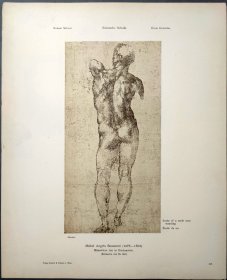 【米开朗基罗】1896年 珂罗版 版画《MANNLICHER ACT IN RUCKANSICHT》 纸张36.5×29厘米