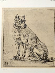 【保卢斯·波特】1896年 珂罗版 版画《STUDY FOR A DOG》 纸张36.5×29厘米