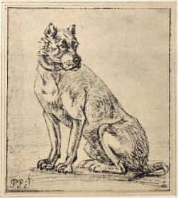 【保卢斯·波特】1896年 珂罗版 版画《STUDY FOR A DOG》 纸张36.5×29厘米