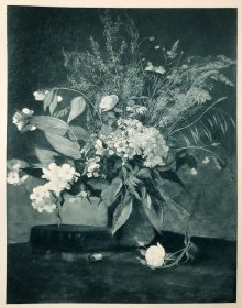【汉斯·托马】1922年 铜版画 照相凹版《茉莉花 Jasmin》附资料页，汉斯·托马（Hans Thoma）德国画家
