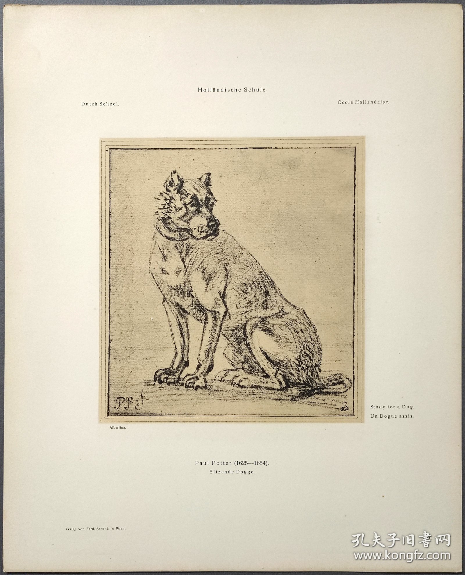 【保卢斯·波特】1896年 珂罗版 版画《STUDY FOR A DOG》 纸张36.5×29厘米