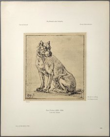 【保卢斯·波特】1896年 珂罗版 版画《STUDY FOR A DOG》 纸张36.5×29厘米