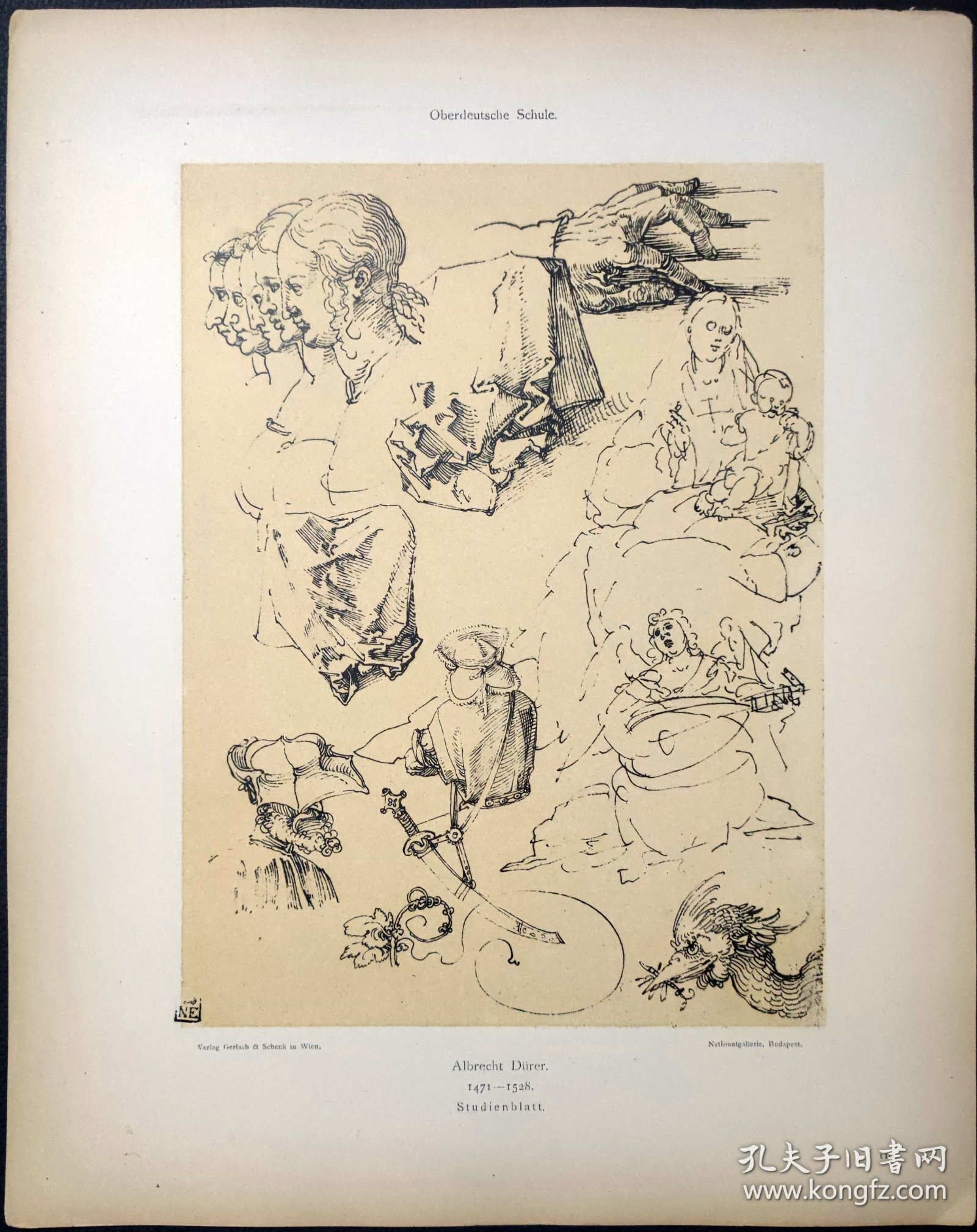 【丢勒】1896年 珂罗版 版画《Feuille d'etude vers 1514》 纸张36.5×29厘米