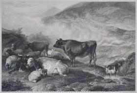 【弗农画廊系列、附资料页】1851年 钢版画《牛:清晨 CATTLE: EARLY MORNING》