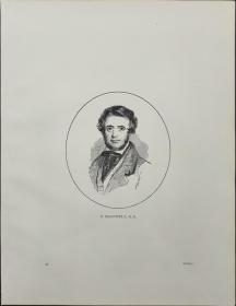 1876年 木版画《P.MCDOWELL》