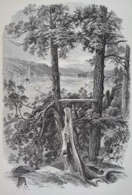 1873 木口木刻版画《海德公园的哈德逊河，THE HUDSON AT HYDE PARK》开纸41*28cm