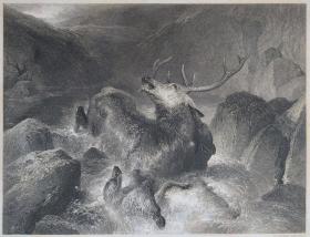 【弗农画廊系列、附资料页】1851年 钢版画《雄鹿 THE DEATH OF THE STAG》