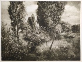 【汉斯·托马】1922年 铜版画 照相凹版《树林 Didicht》附资料页，汉斯·托马（Hans Thoma）德国画家