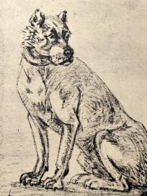 【保卢斯·波特】1896年 珂罗版 版画《STUDY FOR A DOG》 纸张36.5×29厘米