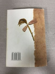 稻作与祭仪:第二届中日民俗文化国际学术研讨会论文集