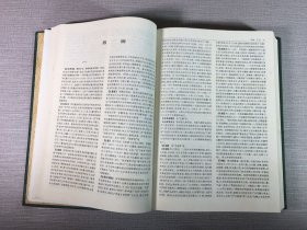 中国哲学大辞典（精装）