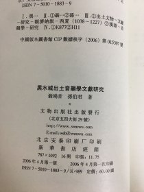 黑水城出土音韵学文献研究.