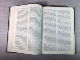 中国哲学大辞典（精装）