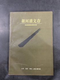 胡河清文存