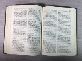 中国哲学大辞典（精装）