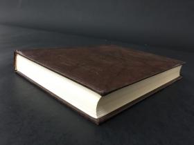 中国话本小说俗语辞典 精装2