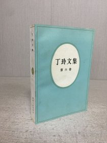 丁玲文集（第六卷）