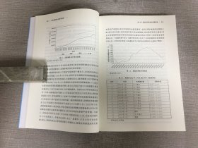 人民币国际化 路径与展望