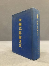 中国文学发达史（精装）