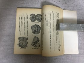 新中医妇科学·