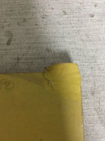 新中医儿科学·