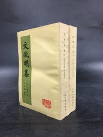 文征明集（上下全二册）