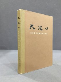 大汶口：新石器时代墓葬发掘报告（精装）