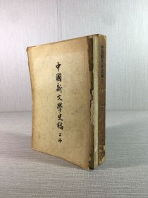 中国新文学史稿（上下全二册）