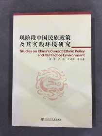 现阶段中国民族政策及其实践环境研究