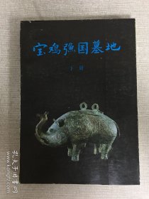 宝鸡弓鱼国墓地（下册）