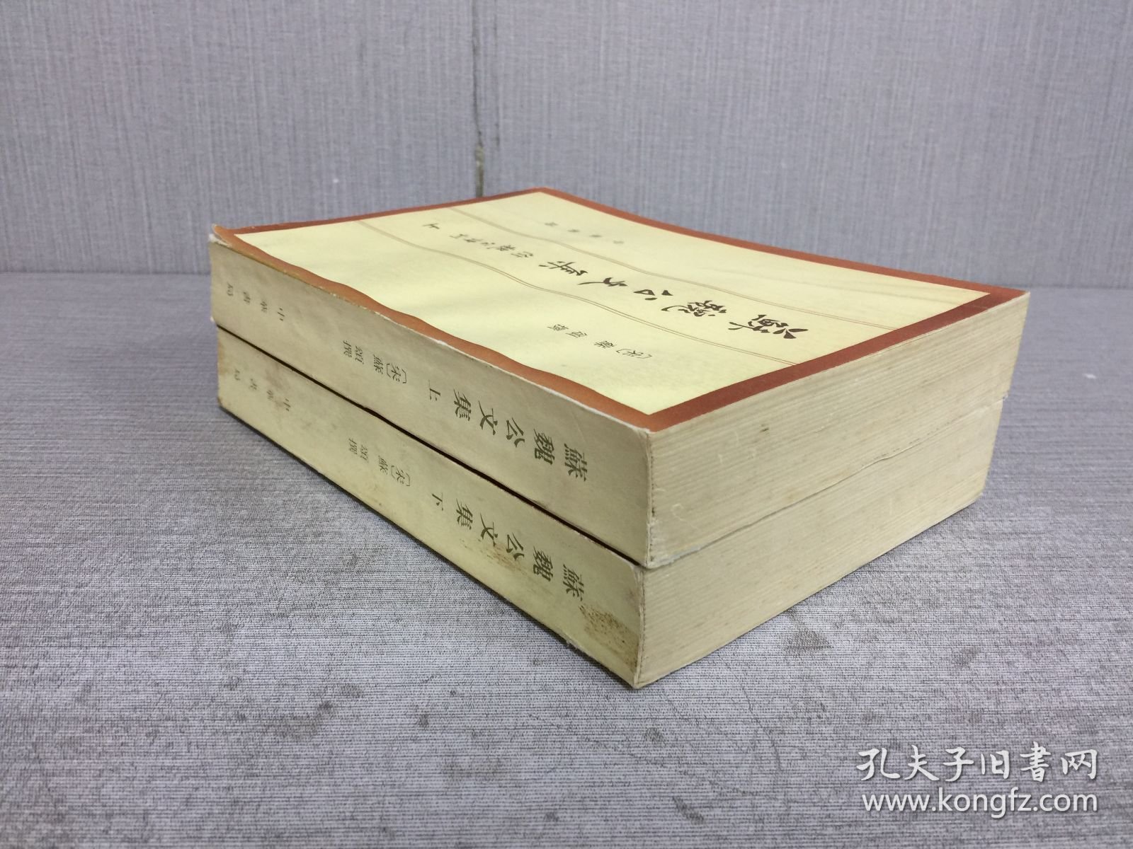 苏魏公文集 附 魏公谭训 上下