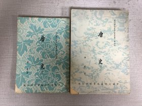 唐史（全二册）