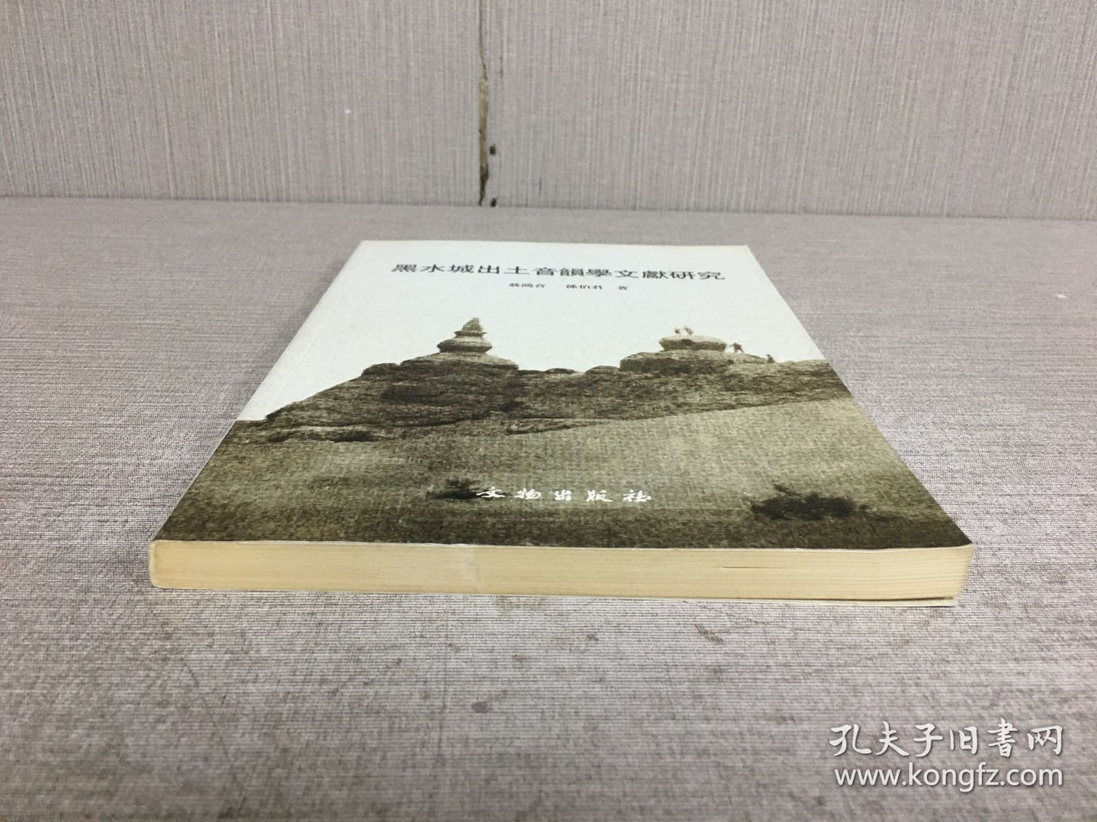 黑水城出土音韵学文献研究.