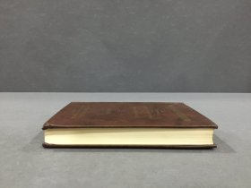 中国话本小说俗语辞典（精装）