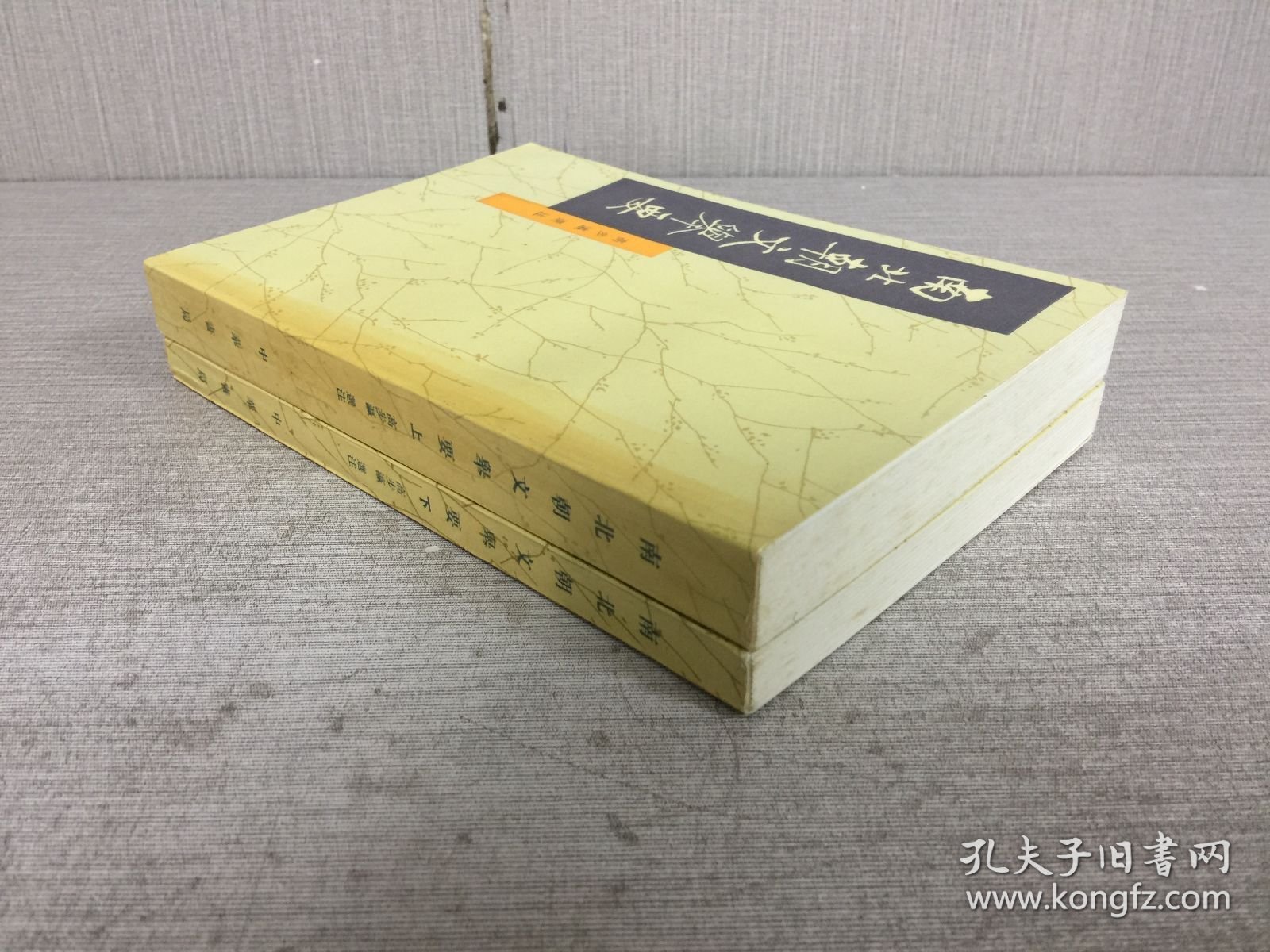 南北朝文举要 上下 全二册