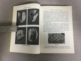 先秦时期的国礼与国家外交