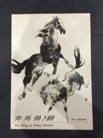 奔马扬蹄