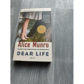 Dear Life：Stories