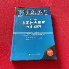 社会蓝皮书：2020年中国社会形势分析与预测