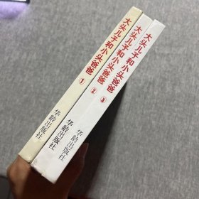 大头儿子和小头爸爸 (全三册)合售