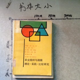 农业组织与规模理论·实践·比较研究