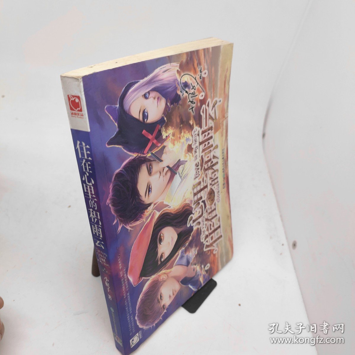 住在心里的积雨云